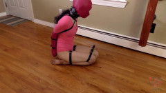 Raven vs. A Pink Bind | Download from Files Monster