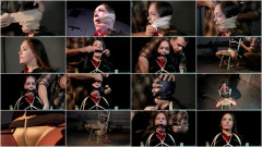 An Evening of Gags with Rachel - Part 2 | Download from Files Monster