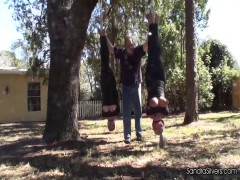 Sandra Silvers Guest Gallery | Download from Files Monster