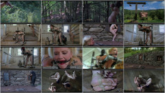 Dairy | Download from Files Monster