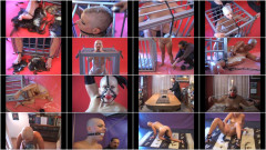 Molly Winters vol 3 (Shadowplayers) - Bald Bitch Shaved Caged & Used | Download from Files Monster