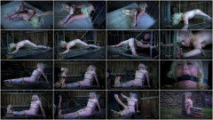 The Sarah Jane Files 2 | Download from Files Monster