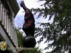 Cocconed and Hoisted | Download from Files Monster