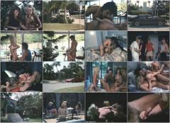Miami Spice #2 1986's Part 6 | Download from Files Monster