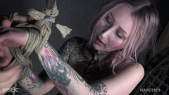Willpower Hardtied | Download from Files Monster
