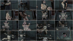 Infernalrestraints - Creamed Cunt | Download from Files Monster