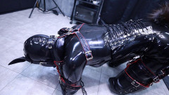 Fantia - Lemon - Clip 46 | Download from Files Monster