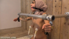 Hucows Aisha – Persian HuCow | Download from Files Monster