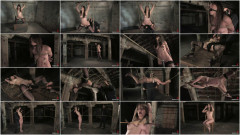 Bobbi Starr | Download from Files Monster