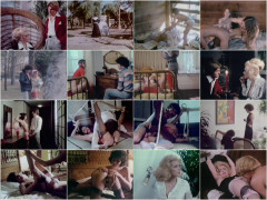 Sweet Cakes 1976's | Download from Files Monster
