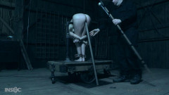Pain it Forward: Zapped | Download from Files Monster