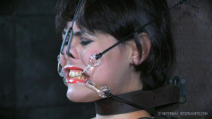 Infernalrestraints - Timid Tits | Download from Files Monster