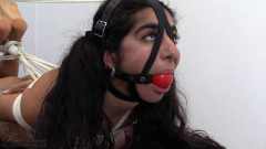 Aisha - hogtied | Download from Files Monster