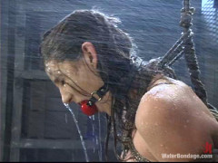 Sasha Sparks Part6 | Download from Files Monster