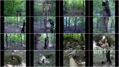 Insexlove tyler file pt. 2 | Download from Files Monster