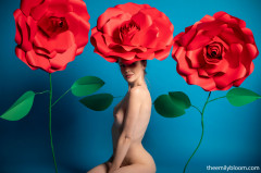 Paper Rose - Emily Bloom | Download from Files Monster