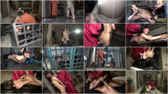 Zen Prison Studio - Season 3 - Horse Series | Download from Files Monster