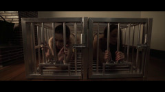 The Auction | Download from Files Monster