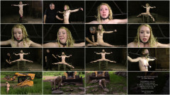 Morning Wood Part Two - Nicki Blue | Download from Files Monster