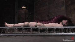 Miss Adams | Download from Files Monster