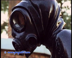 Pupett clips 181-211 | Download from Files Monster