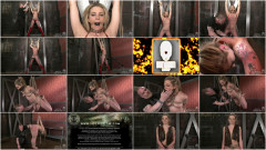 Bailey Blue - Excellence In Obedience | Download from Files Monster