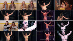The milgram experiment pt. 3 | Download from Files Monster