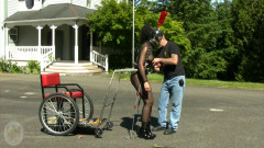 Pony Carting - 2011 style | Download from Files Monster