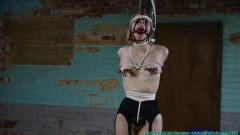 Attitude Adjustment For Rosie - Part 3 | Download from Files Monster