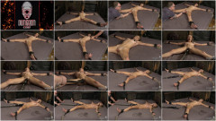 Beast Punishing Beauty | Download from Files Monster