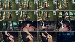 Subspaceland - Tools Of Pain | Download from Files Monster