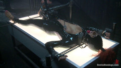 Devicebondage - Slut on Display | Download from Files Monster