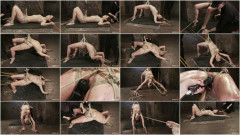 Amber Rayne Live Show Part 2 - Drawn And Quartered | Download from Files Monster