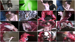 Little ballerina Hina 3D HD-Video 2013 | Download from Files Monster