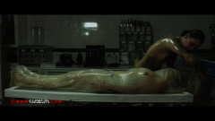 Clinicaltorments Clip 227 | Download from Files Monster