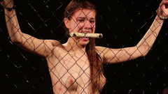 History of pain spy interrogaton | Download from Files Monster