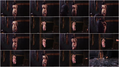 It bitch needs attention | Download from Files Monster