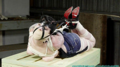 Drusillas First Hogtie - Part 4 | Download from Files Monster