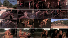 Rita Brown | Download from Files Monster