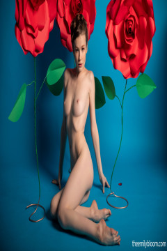 Paper Rose - Emily Bloom | Download from Files Monster