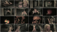 Boxed Bitch | Download from Files Monster