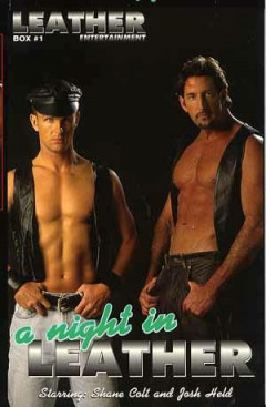 Sunshine A Night In Leather | Download from Files Monster