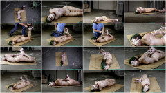 Vesper Leashed, Paraded, Strung Up, and then Hogzipped - Part 3 | Download from Files Monster