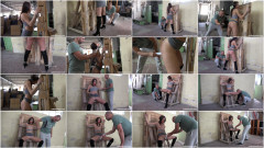 Katy Rose Part6 | Download from Files Monster