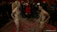 Princess Donna's B-Day Bash | Download from Files Monster