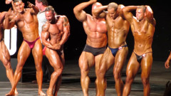 Bodybuilding Marvels part 3