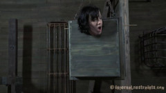 Boxed and Sex  Elise Graves