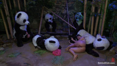 Panda Gangbang