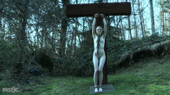 Alice is catfished and turned insexlove