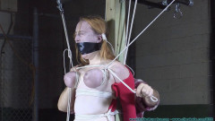 Attitude Adjustment For Ginger - Part 2